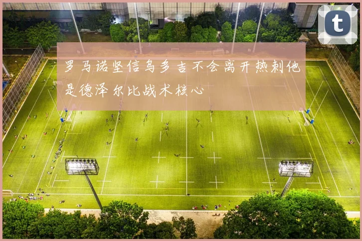 罗马诺坚信乌多吉不会离开热刺他是德泽尔比战术核心